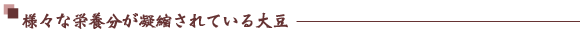 様々な栄養分が凝縮されている大豆